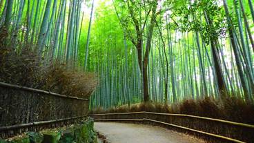 観光スポット / 4