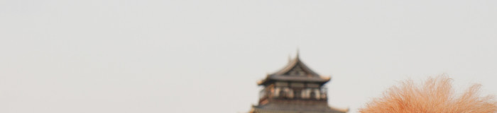 【広島】愛犬やペットと一緒に楽しい旅を♡おすすめホテル5選