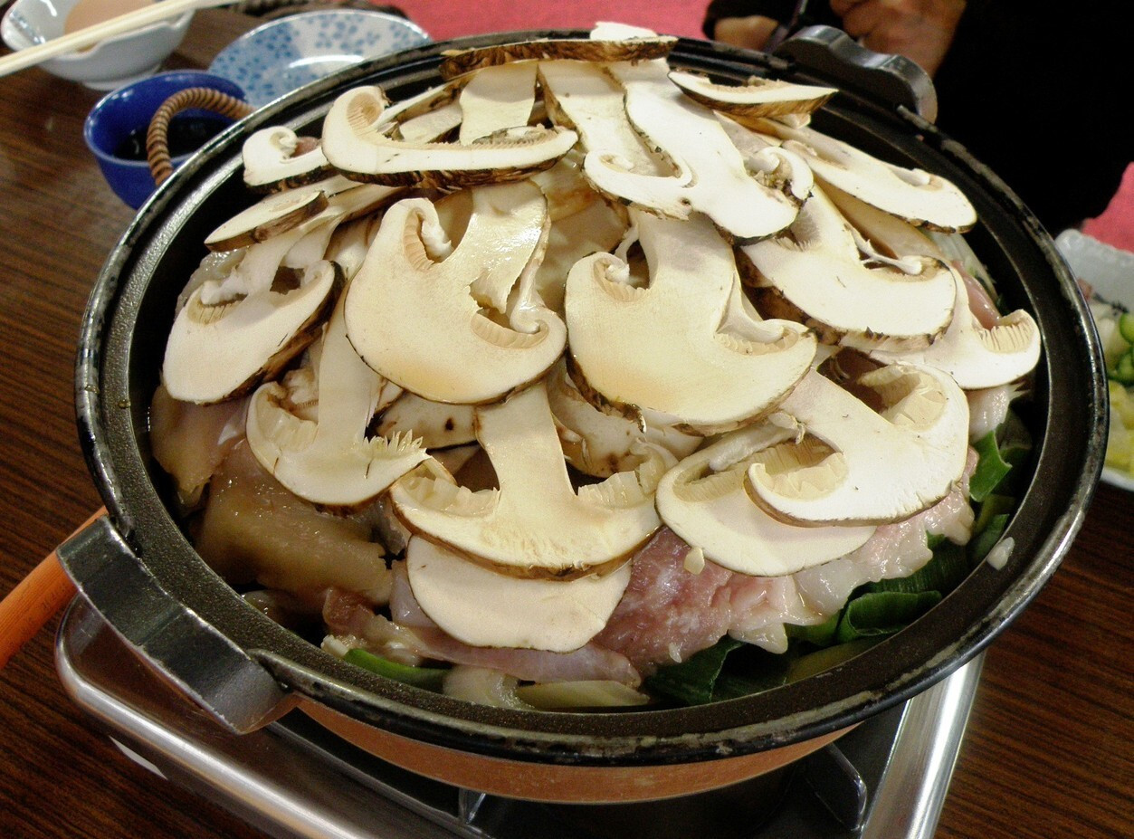 「丸光園松茸山」料理 783659 松茸鍋（3人前）