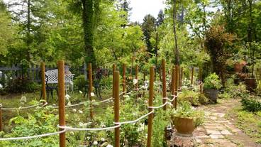 施設からの眺望 / 20