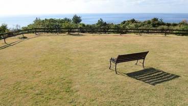 施設からの眺望 / 12