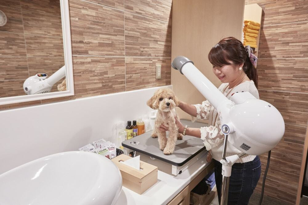 ルシアン旧軽井沢（ルシアンキュウカルイザワ） / 6