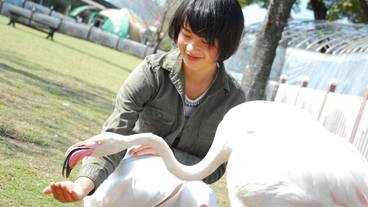 施設内の設備 / 9