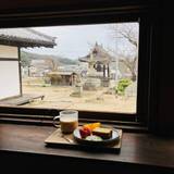 森を歩くねこ（モリヲアルクネコ）