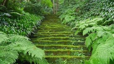 観光スポット / 22