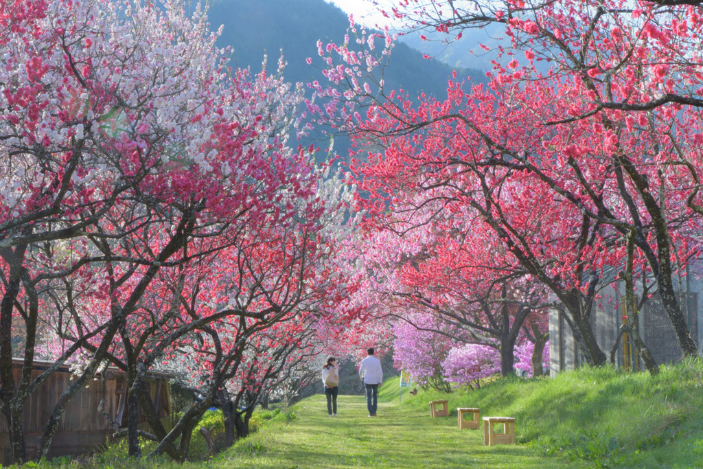 雄大な自然に感動と思いきや……笑3514582