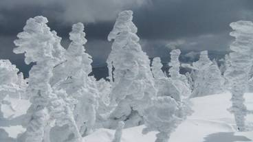 施設の敷地 / 27