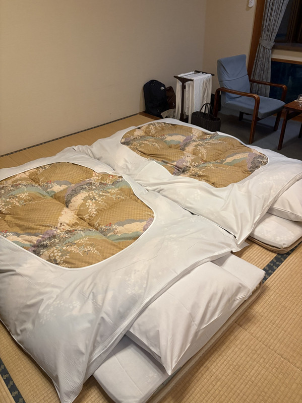横になると畳を感じます