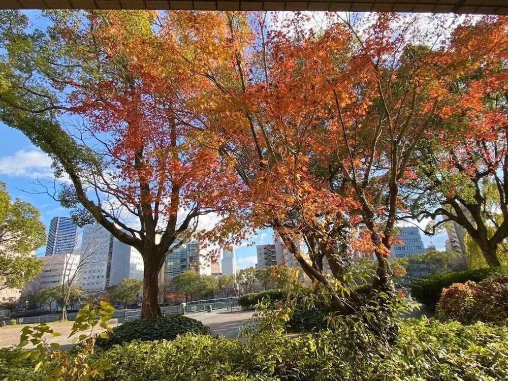 施設からの眺望