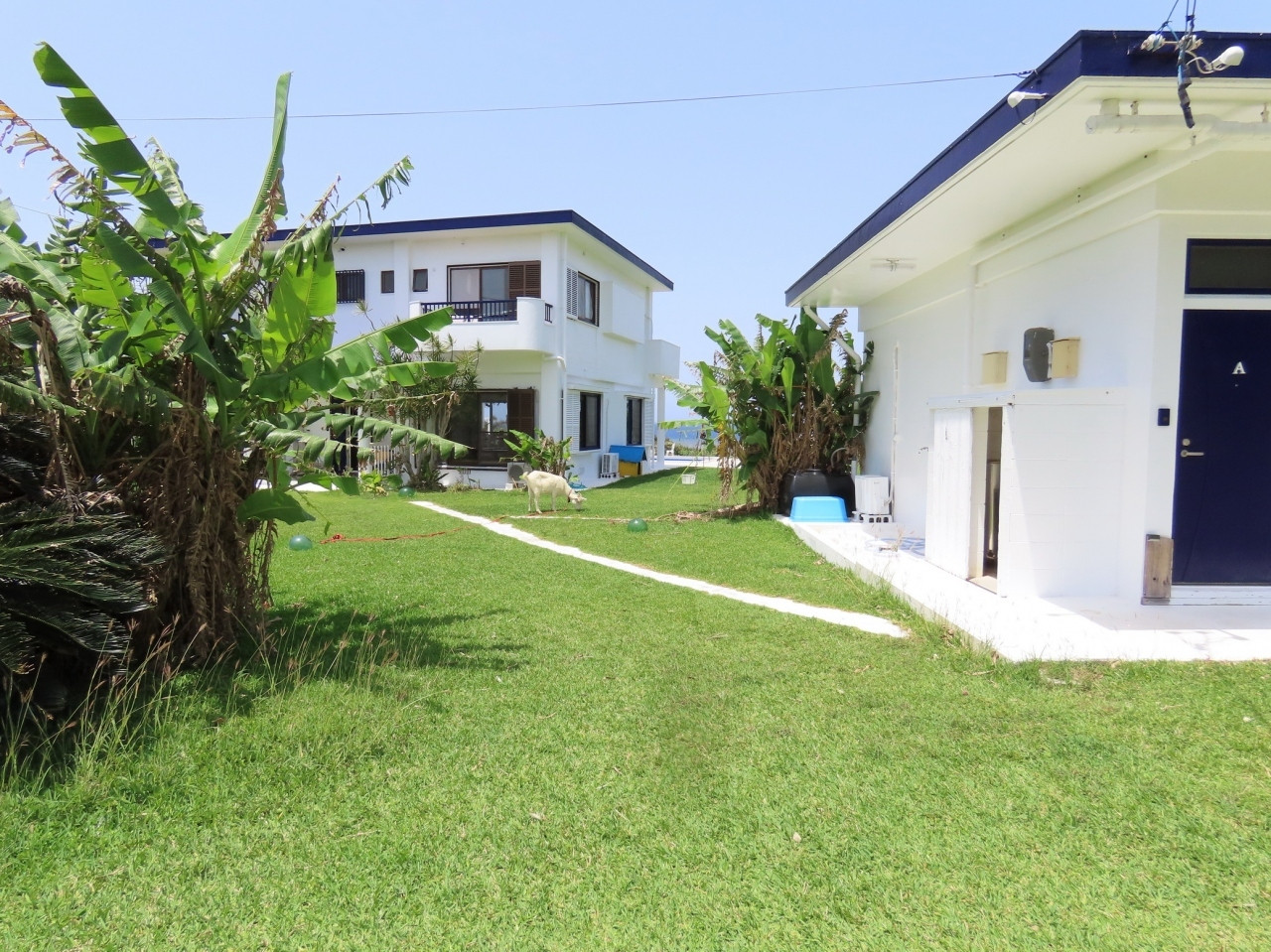 全室オーシャンビュー！リトリート気分も味わえる癒しの宿3975486