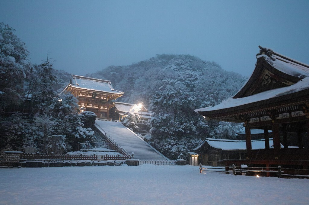 冬だから行きたい 鎌倉のほっこりできるスポット巡り7選 Icotto イコット