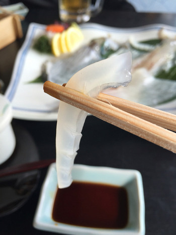 「いか道楽」料理 637452 