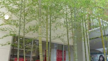 施設の入り口 / 24