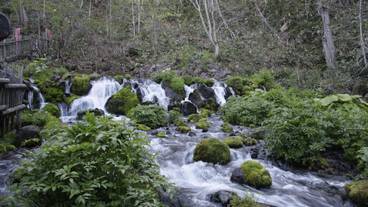 ランド ビュー / 20