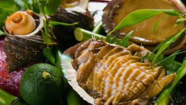 レストラン / 25