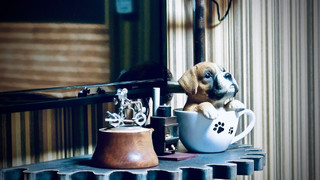 [瑠璃の間/Ruri-Ma:202号室] スタジオベーシック: 埋込式シングルベッド/布団 専用バスルーム (シャワーブース/シャワートイレ) 禁煙