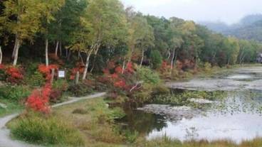 施設の敷地 / 20