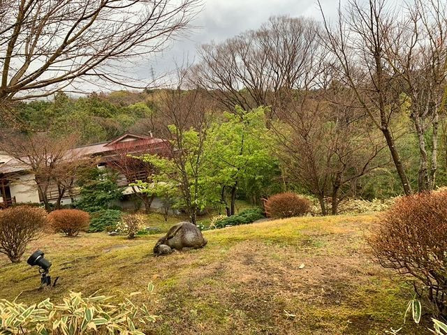 k1ttyrqさんの写真 / 1