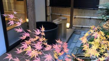 ガーデン ビュー / 9