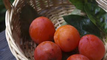 食事・飲み物 / 3