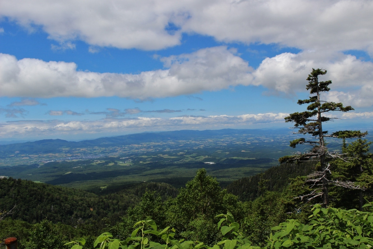 玄関前から見晴らす富良野盆地