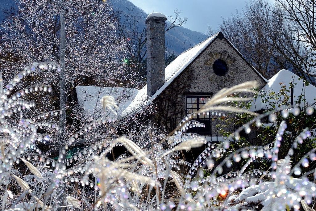 こちらで観光♪「箱根ガラスの森美術館」3907513