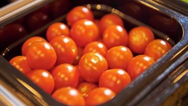 朝食ビュッフェ / 11