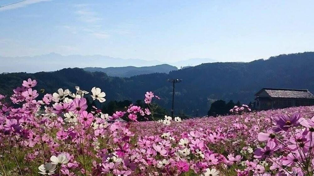 施設からの眺望