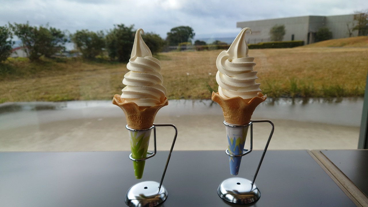 13.ずらりと並ぶ壺が圧巻！「坂元のくろず 壺畑 情報館」4239108