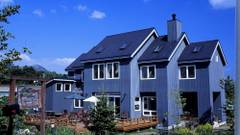 ブルーイングリーン