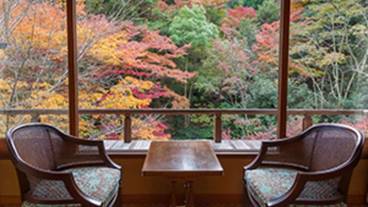 部屋からの景観 / 12