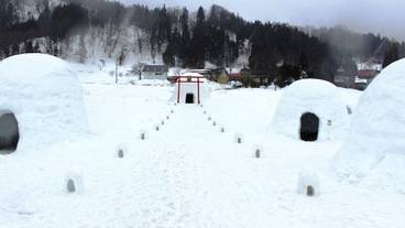 マウンテン ビュー / 18