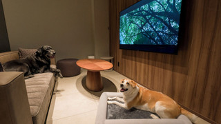 [F] 2ダブルベッド (ドッグフレンドリー) / 4名定員 禁煙