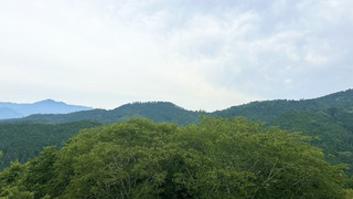 ラグジュアリー ルーム マウンテンビュー