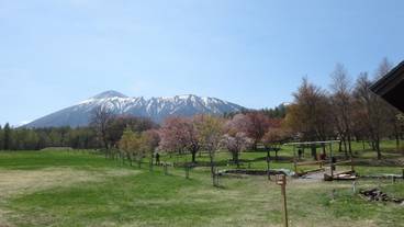 観光スポット / 13