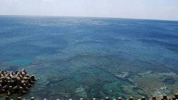 ビーチ / オーシャン ビュー / 10