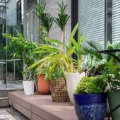 かごしまプラザホテル天文館(鹿児島県 ビジネスホテル) / 5