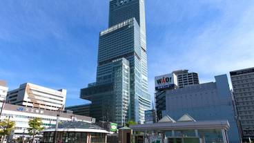 観光スポット / 19