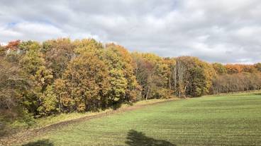 施設からの眺望 / 5