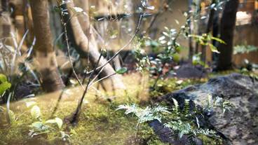 施設内の設備 / 9