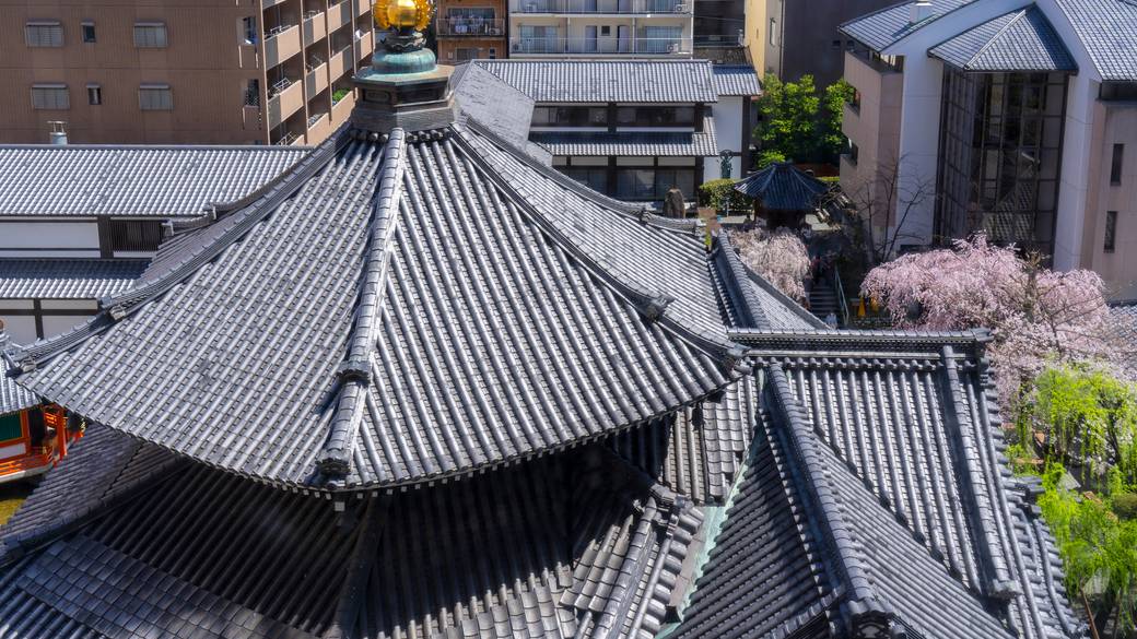 真上から見ると六角形がわかる / 3