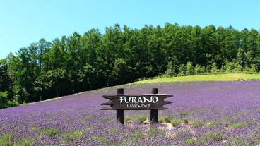 ランド ビュー / 11