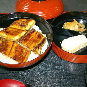 「やぶきん」料理 905244 