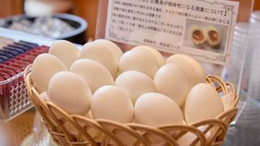 朝食ビュッフェ / 9