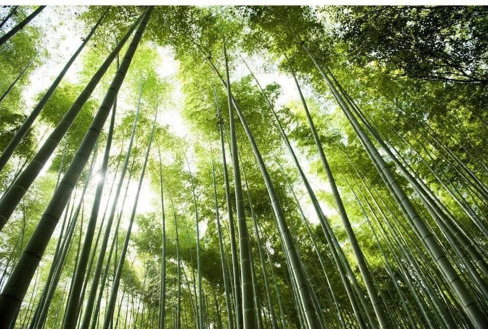 施設の敷地