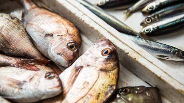 レストラン / 10