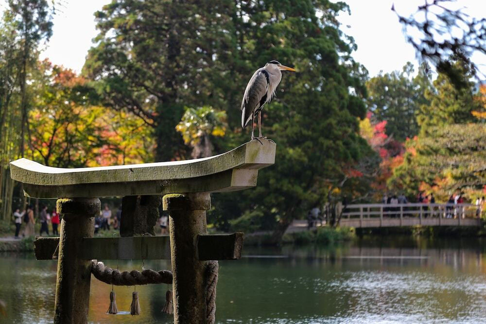 湖