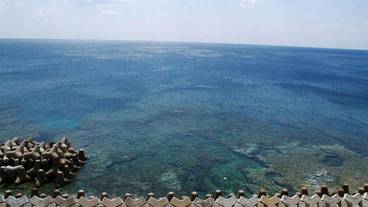 ビーチ / オーシャン ビュー / 6