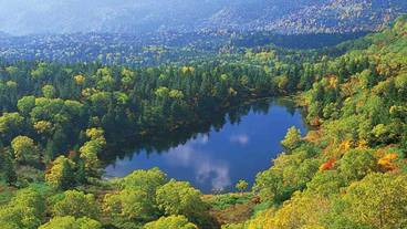 シティ ビュー / 9