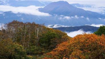施設の敷地 / 17